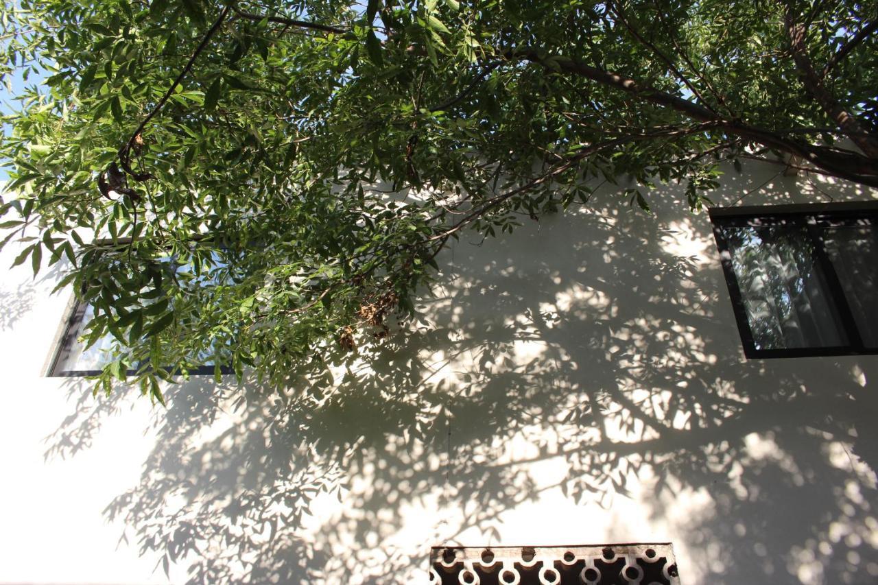 Entre Patios Hotel Boutique Leon Exterior photo
